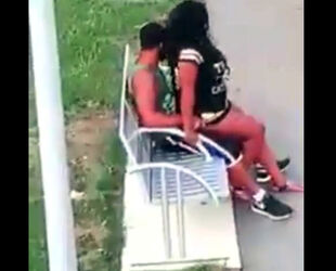 Dark-hued duo ravages on park bench not knowing that they